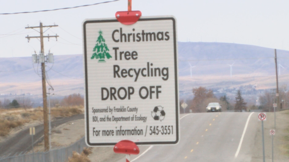 Here's how to recycle your Christmas tree KEPR