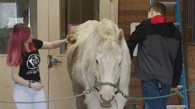 DIRIGO STORIES: Farm program liberates struggling students