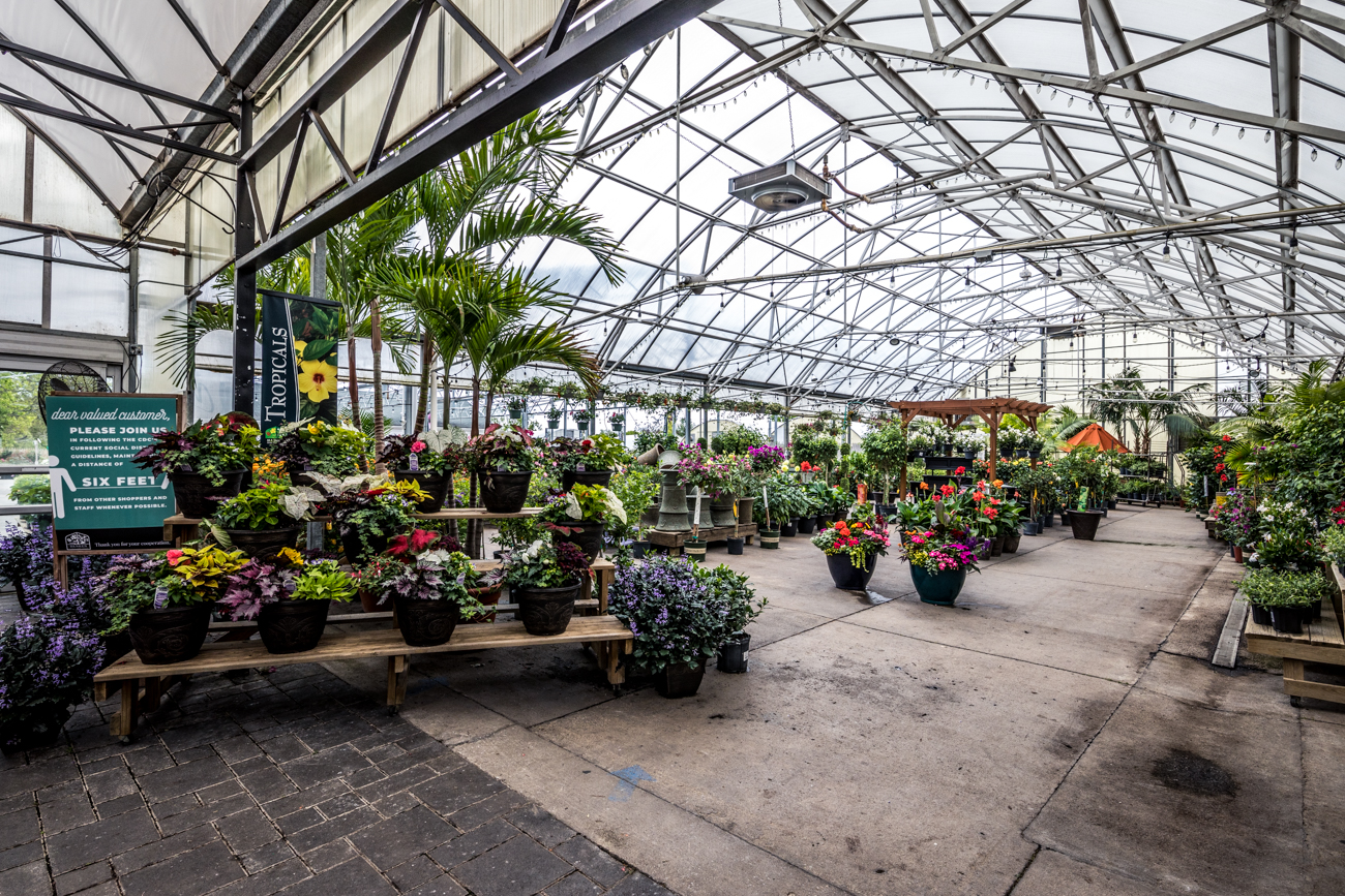 10 Awesome Garden Centers That Are Ready to Help Your Yard Flourish