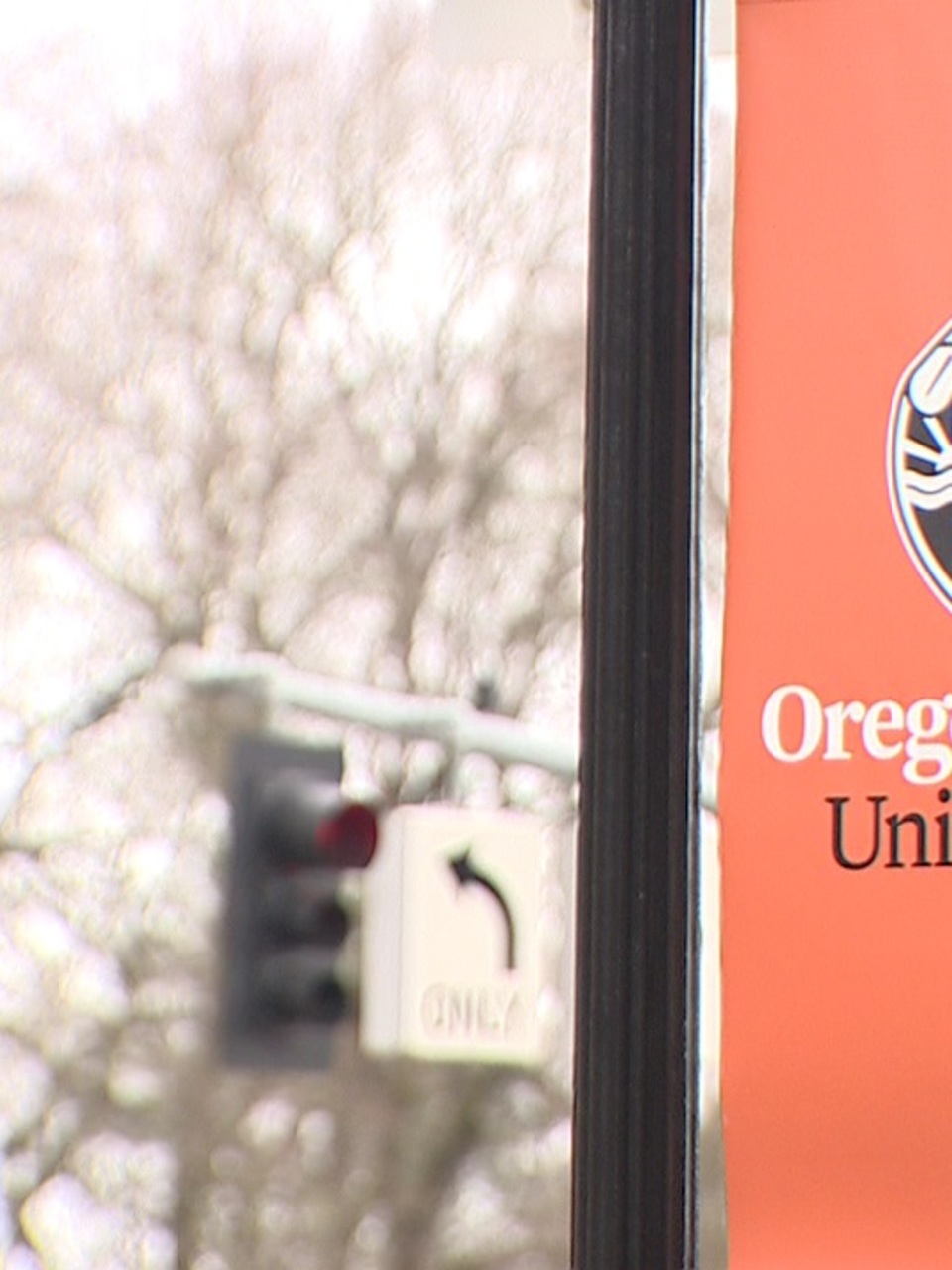 Aclu Questions New Osu Policy Requiring Students To Disclose Past