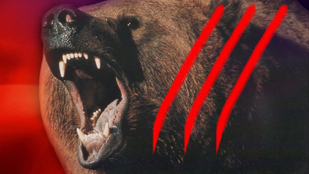 Bear bites sleeping child in the face at Utah campground KUTV