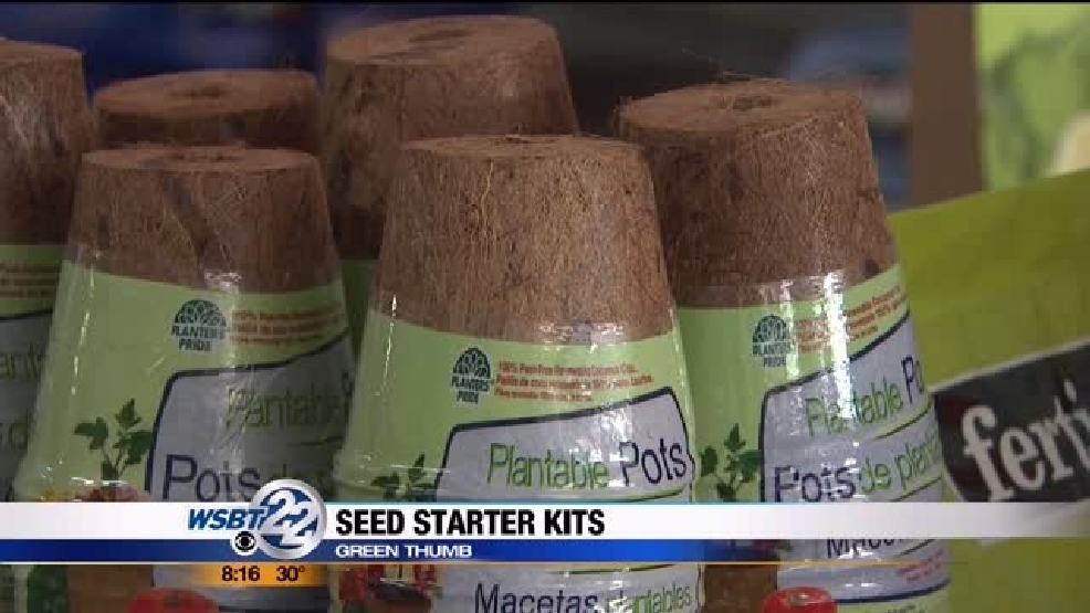 img-Green-Thumbs-Seed-Starter-Kits.jpg img-Green-Thumbs-Seed-Starter-Kits.jpg