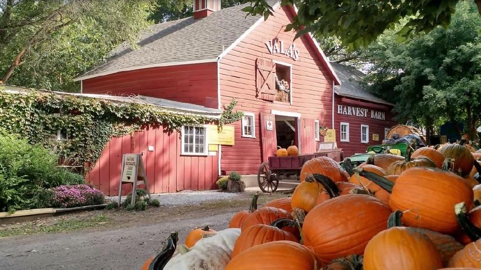 Vala's Pumpkin Patch KHGI