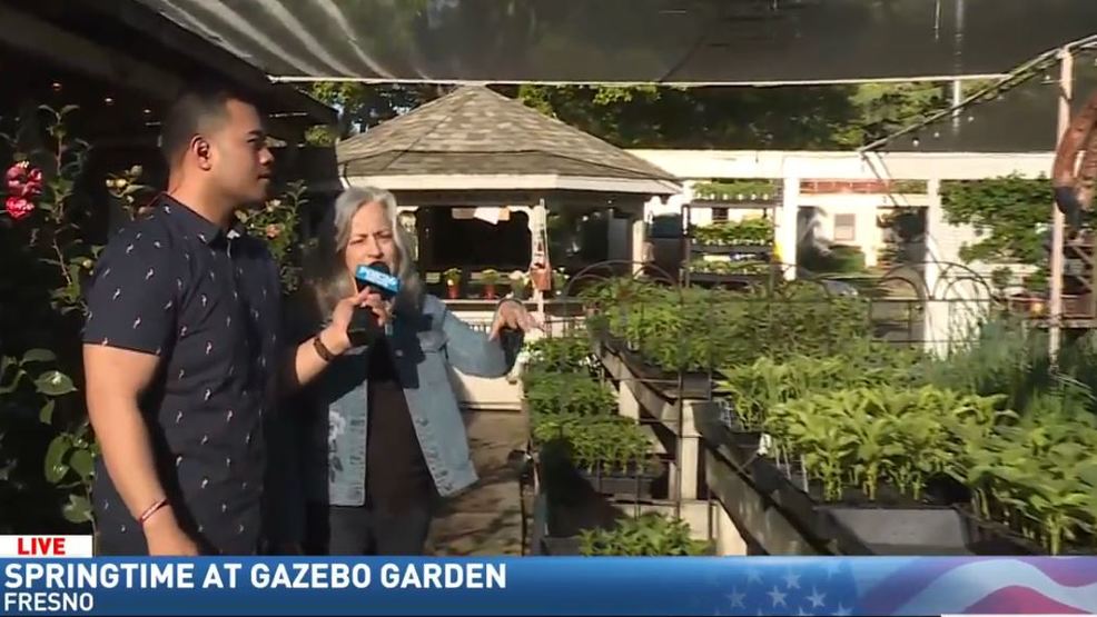 Michael Previews The Beer Garden At Gazebo Gardens Kmph