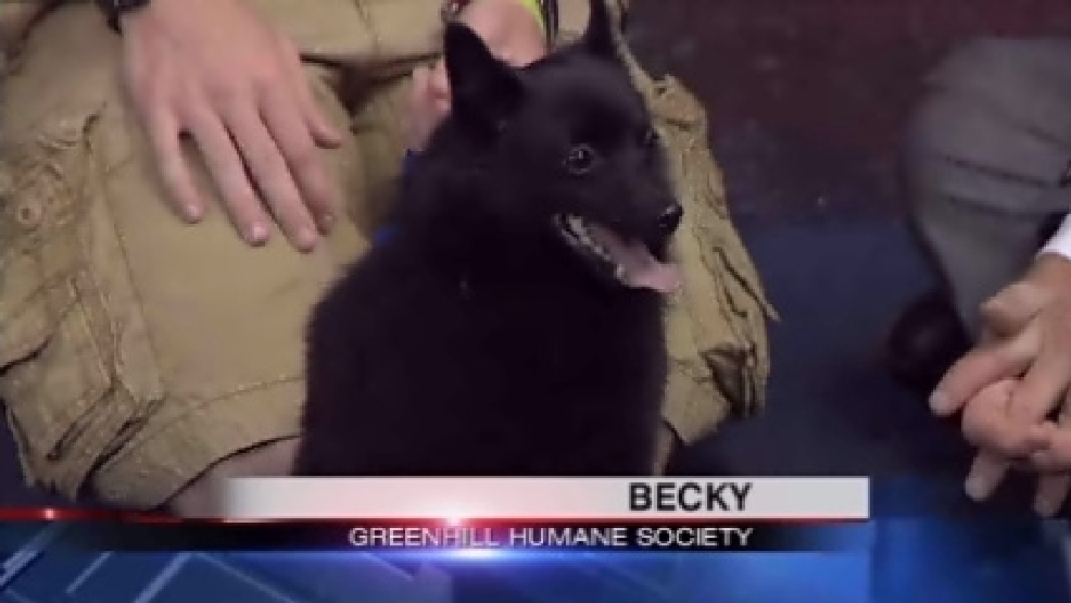 pet_becky.jpg