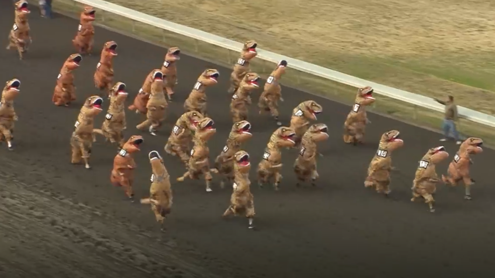 WATCH TRex race at Washington casino WWMT