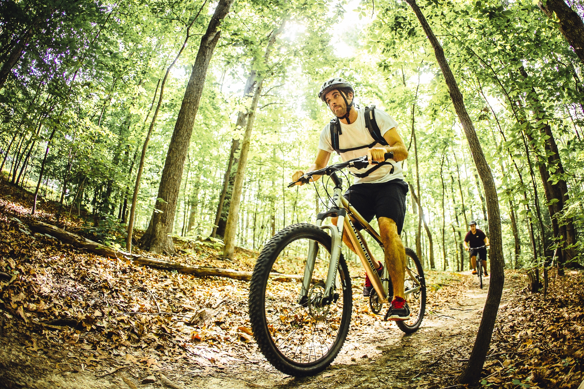 5 reasons to visit Roanoke this summer DC Refined