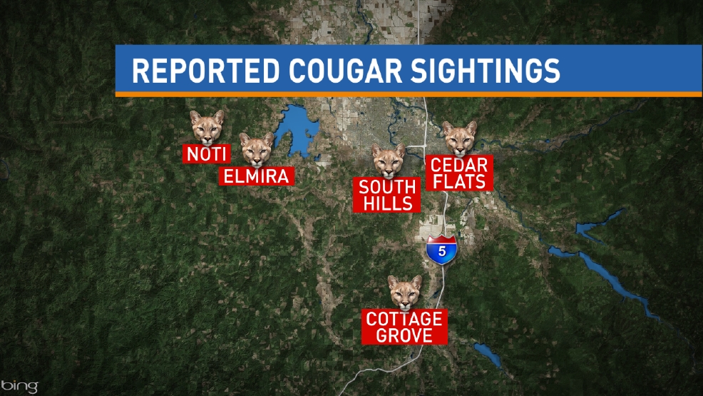 ODFW responds to six reports of cougar sightings throughout Lane County