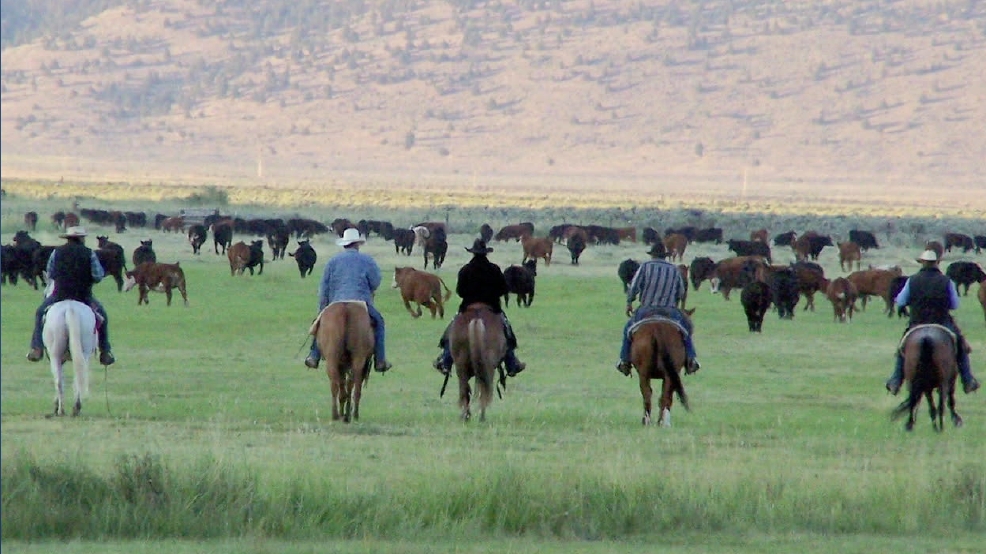 Ranchers OR Ag.png Ranchers OR Ag.png