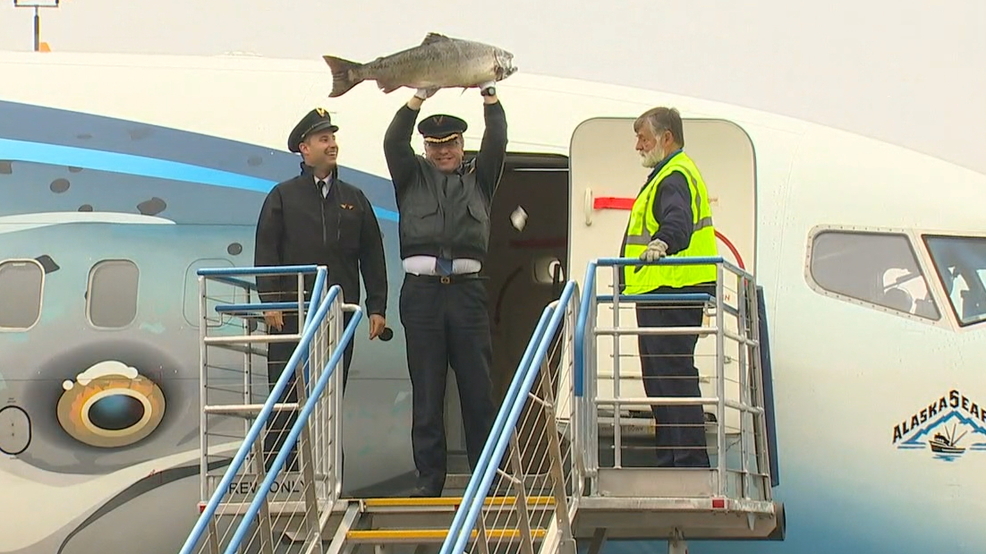 It's here! First batch of Copper River Salmon arrives in Seattle KOMO