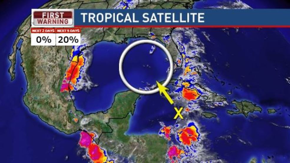 tropical-disturbance-wear