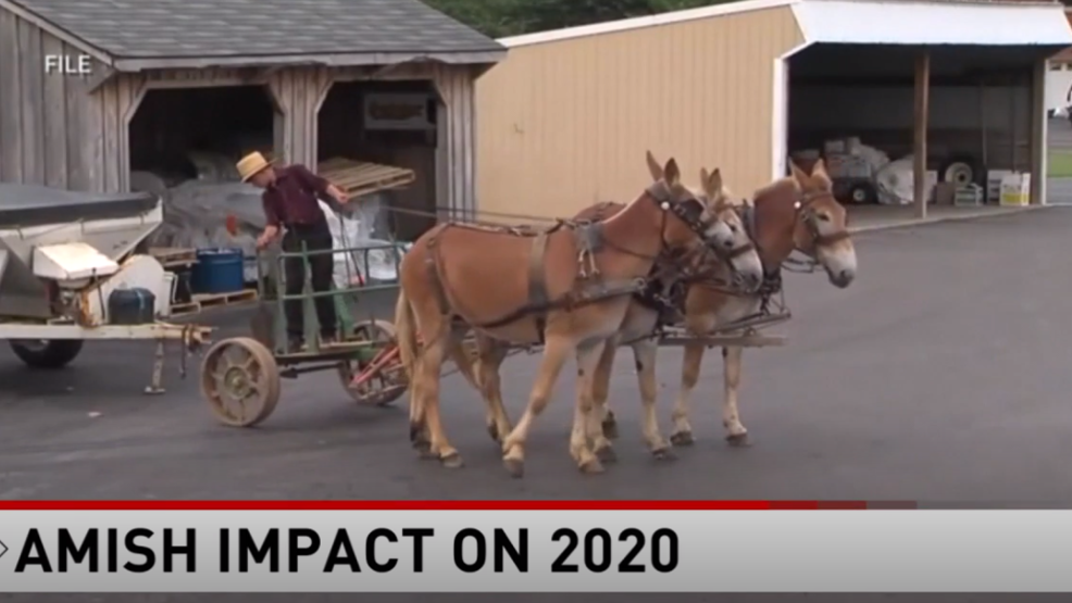 Lancaster County Amish Meet With President Trump In Historic Meeting | WJAC