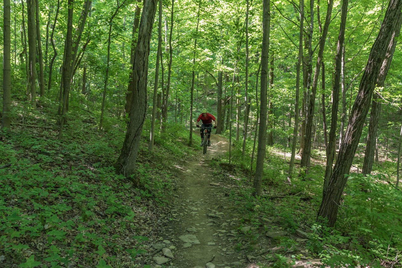 devou park mtb trails