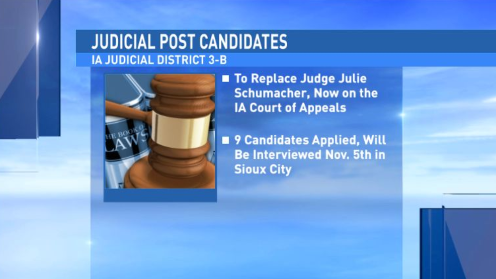 Nine judges up for Iowa #39 s 3rd Judicial District opening KMEG