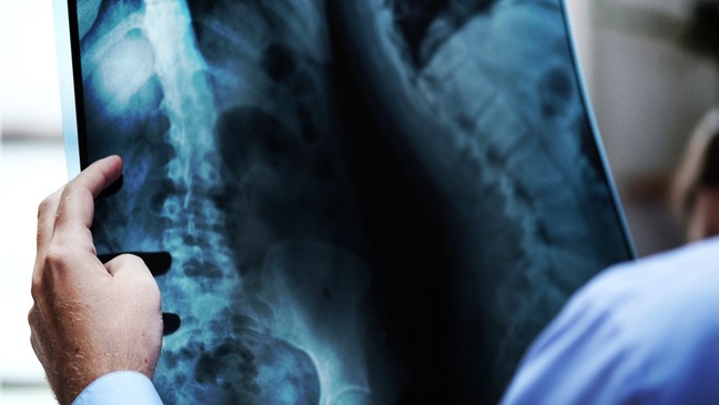 How to quickly check a doctor's license