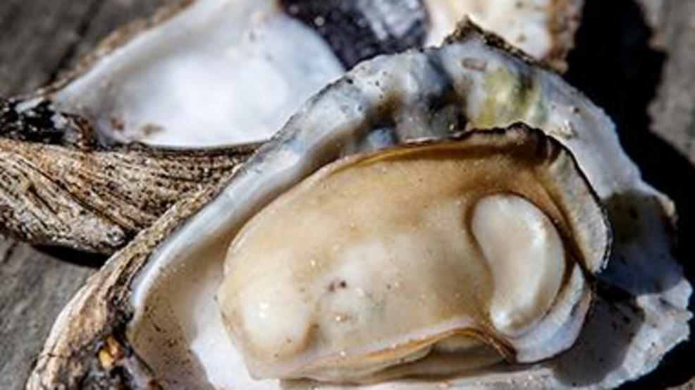 Contaminated oysters suspected in North Carolina man's death WCIV