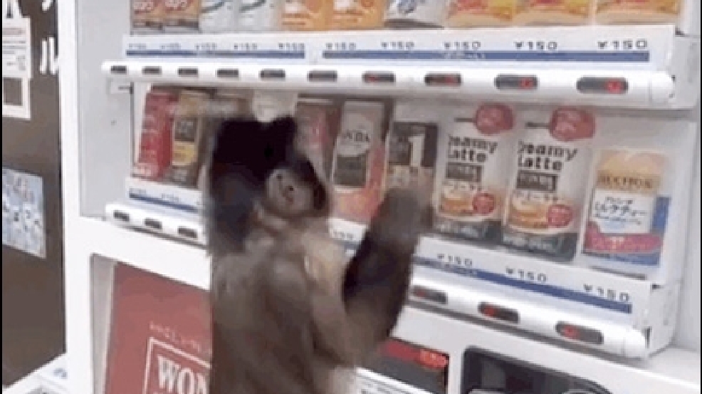 130618_monkey.jpg