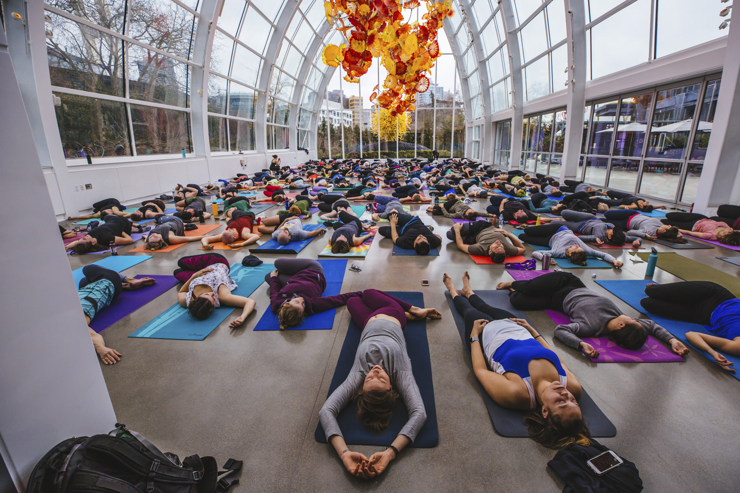 Photos If you think your yoga class is zen, just wait until you try