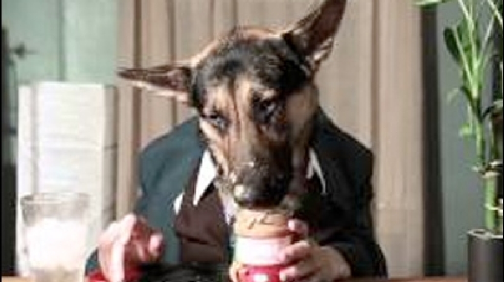 130410_dogs_dining.jpg
