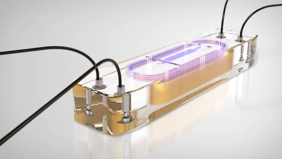 New device can minimize hospital visits for heart failure ...
