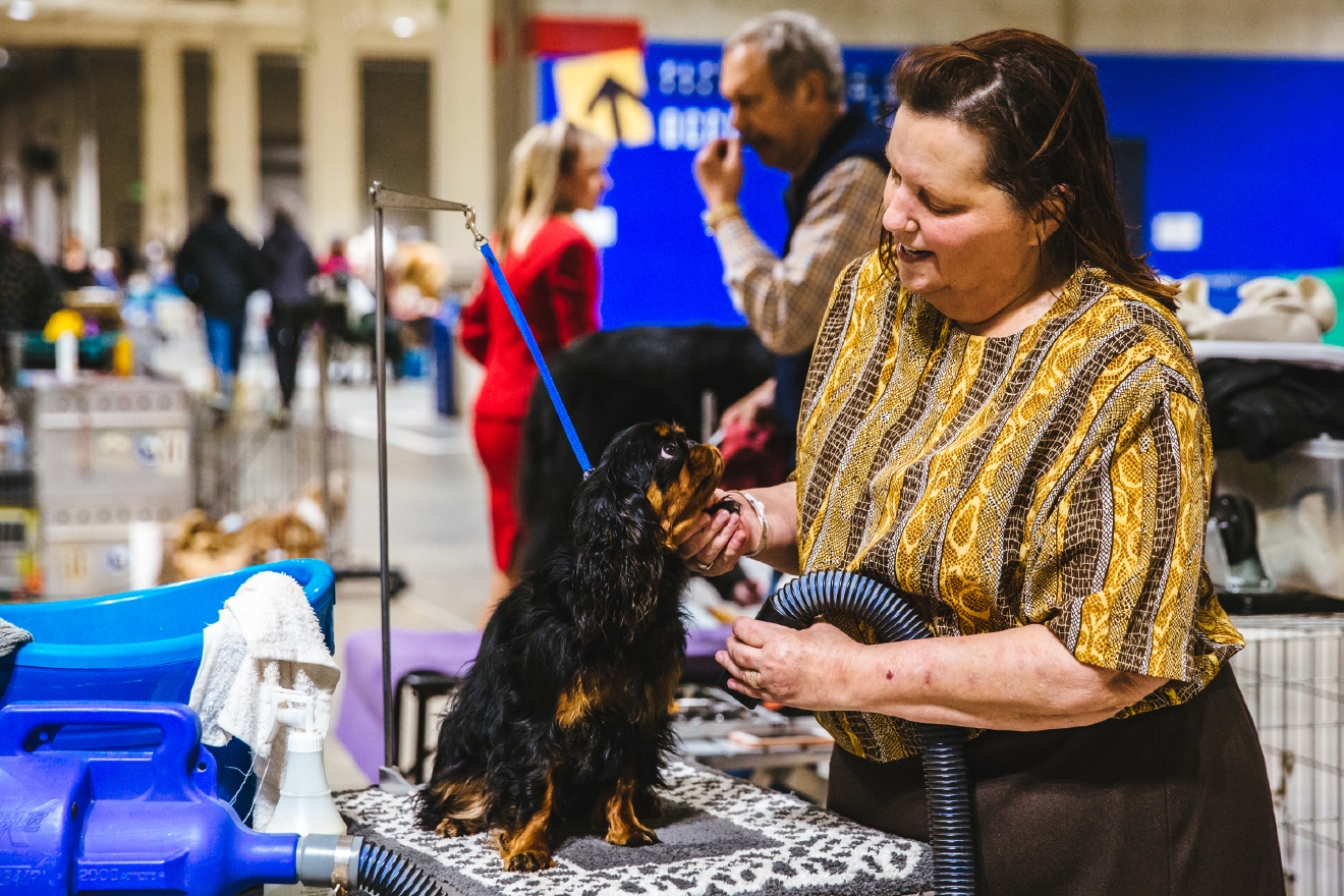 Photos Touring the Grooming Room of the Seattle Dog Show Seattle Refined