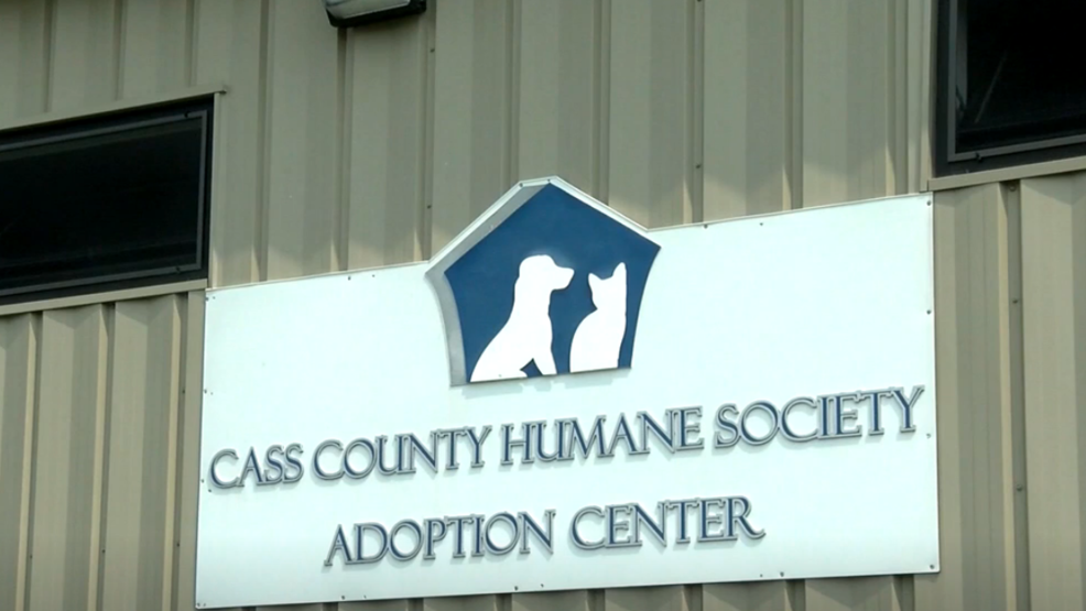 Cass County Humane Society raising money for surveillance camera after