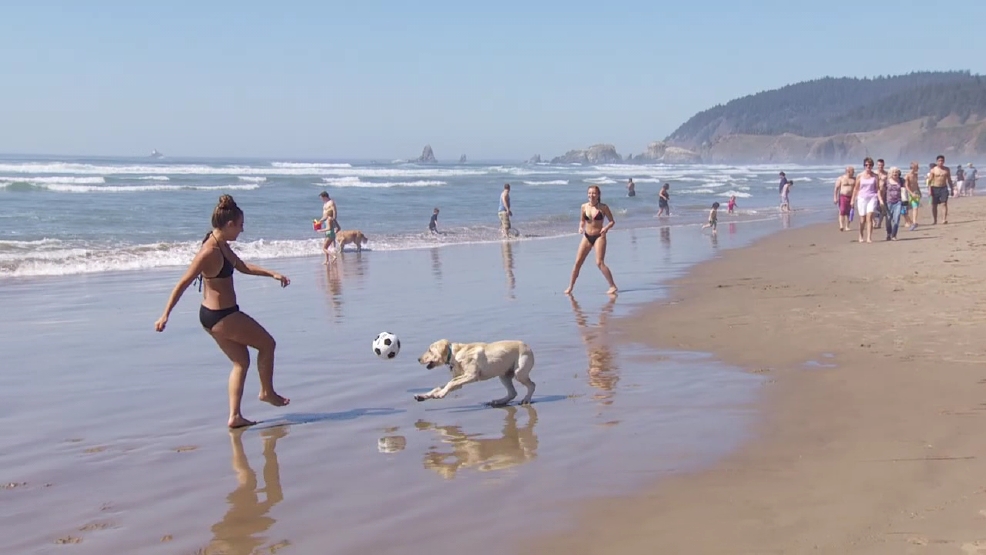 bill would ban drinking on oregon s public beaches katu bill would ban drinking on oregon s public beaches katu