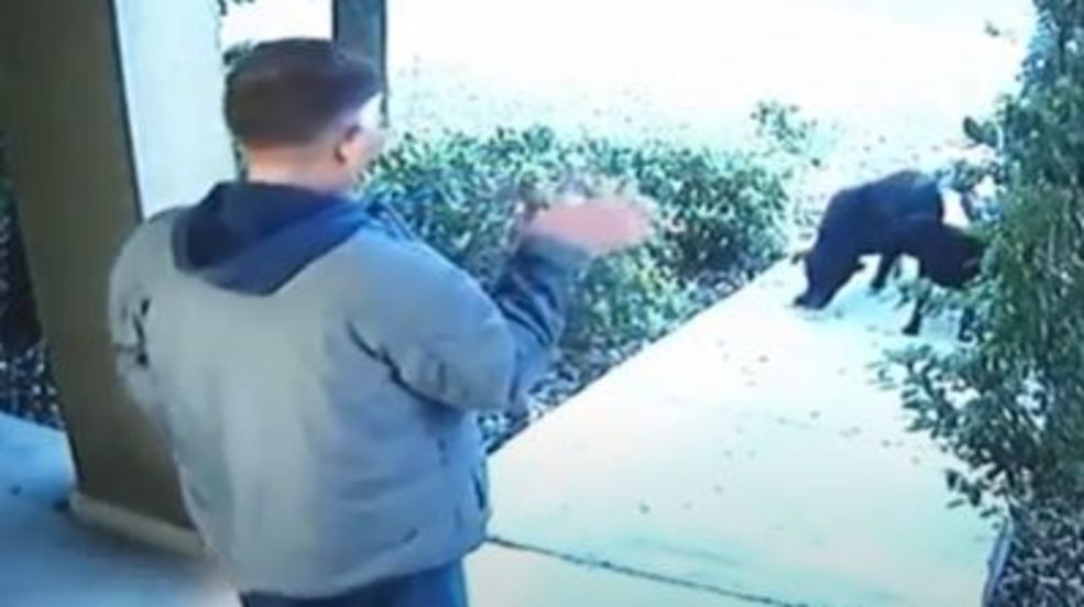 Man says dog attack victim came banging on his door for help KEYE