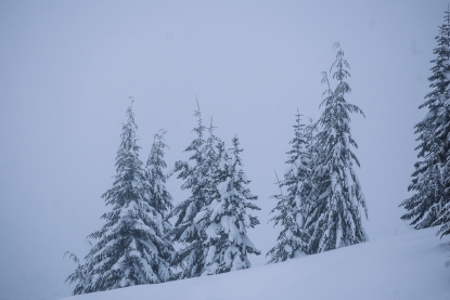 Noaa Sinks La Nina Forecast Should Skiers Be Worried Kboi